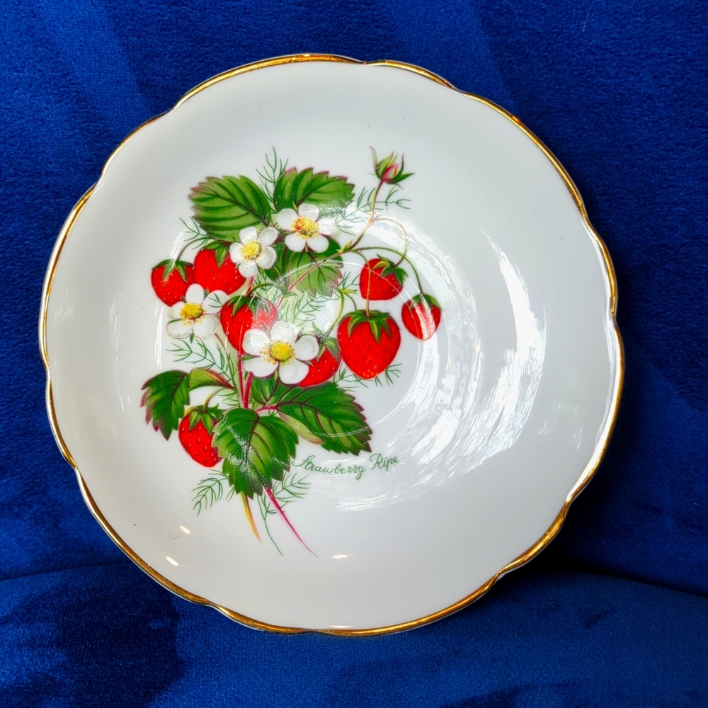 Regency Bone China teacup saucer